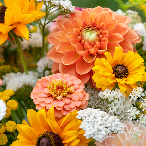 Florista